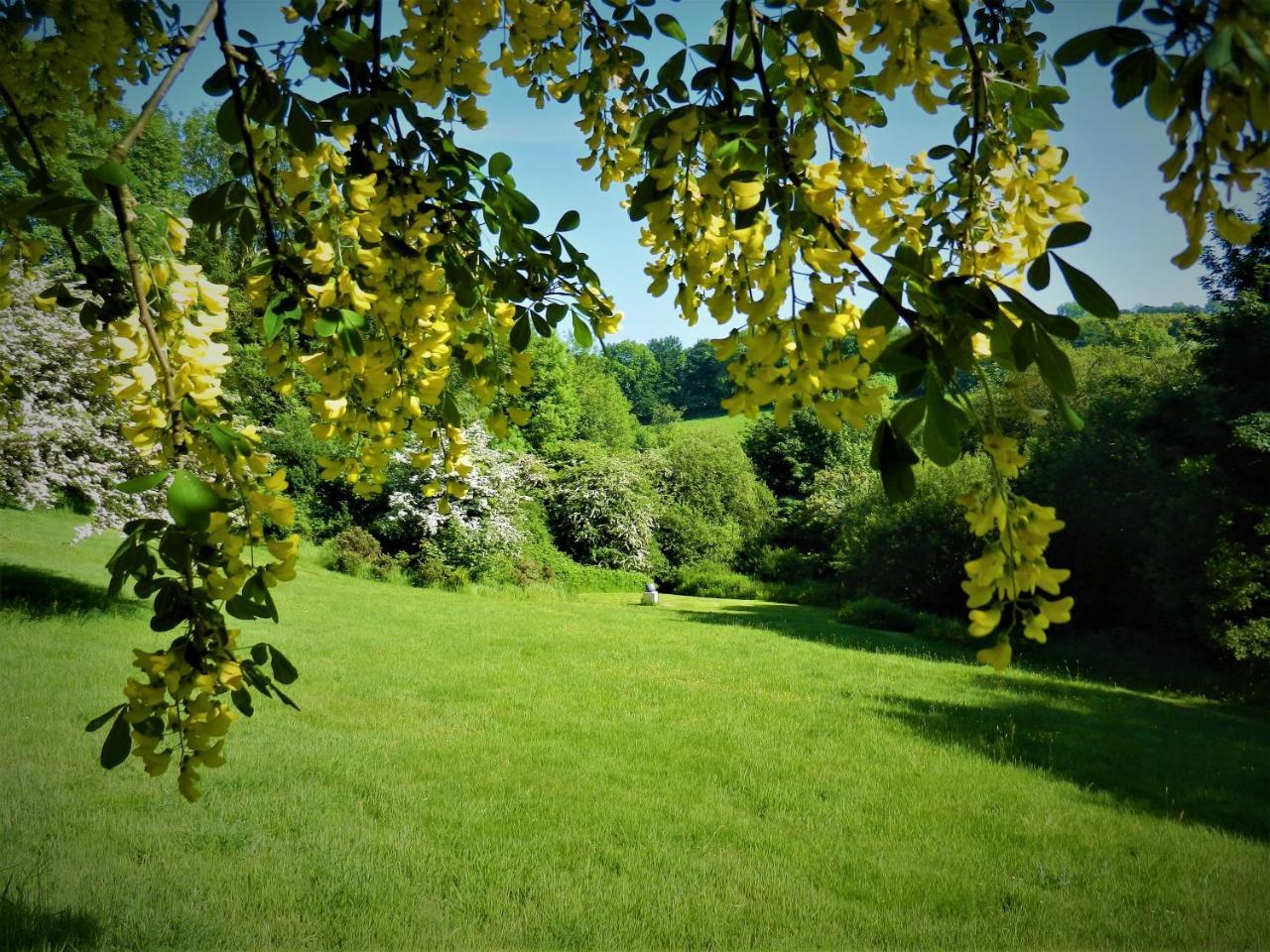 Ffynnon Fendigaid Bed And Breakfast Aberporth Dış mekan fotoğraf