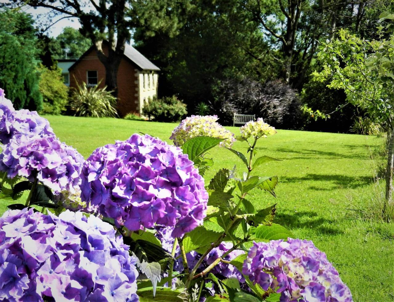 Ffynnon Fendigaid Bed And Breakfast Aberporth Dış mekan fotoğraf